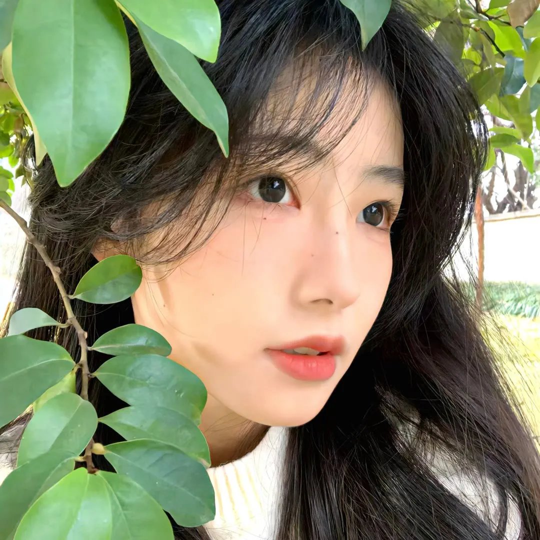 试吃者封面
